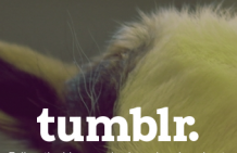 How To Drive Tumblr Traffic On Autopilot featured image